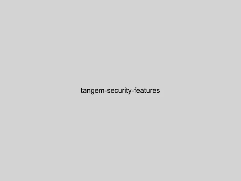 Tangem wallet security features including EAL6+ chip and NFC encryption